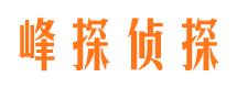 崇阳找人公司